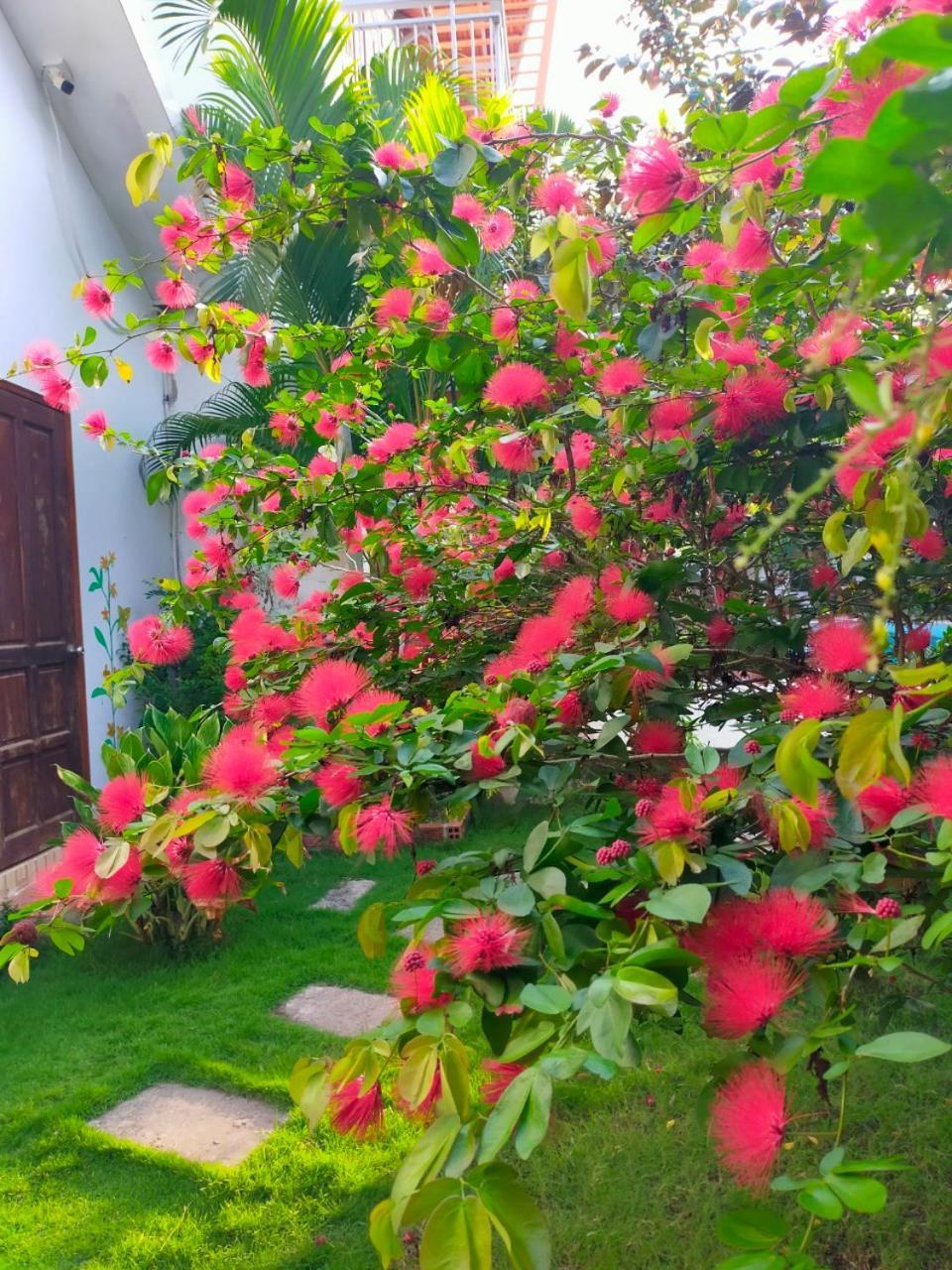 Serenity Garden Phu Quoc Esterno foto